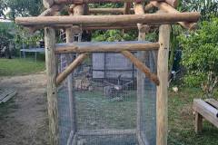4x4-tiki-hut-bird-cage-2